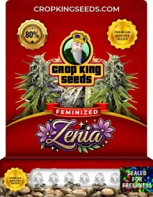 Zenia Strain