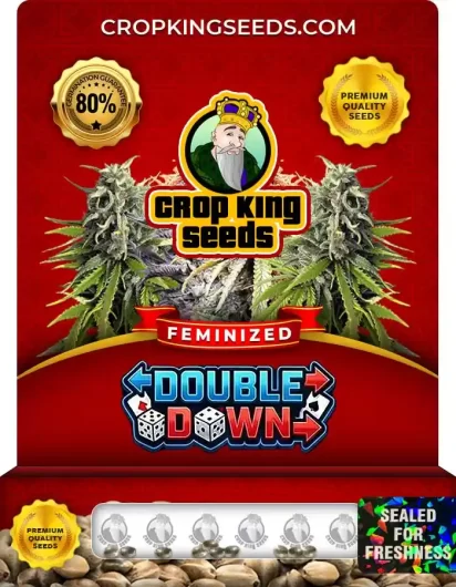 Double Down Strain