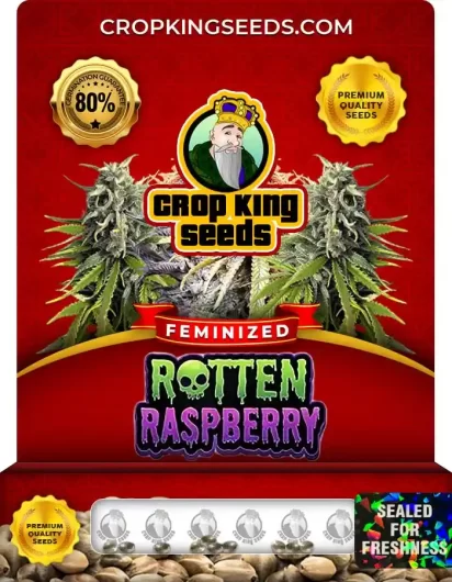Rotten Raspberry Strain