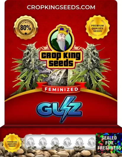 Guz Strain