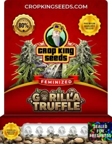 Gorilla Truffle Strain