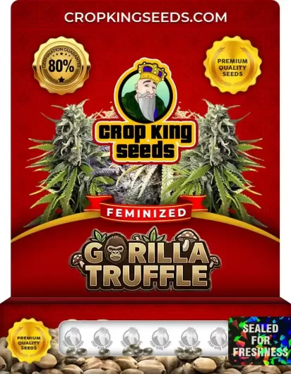 Gorilla Truffle Strain