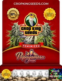Papayamosa Strain