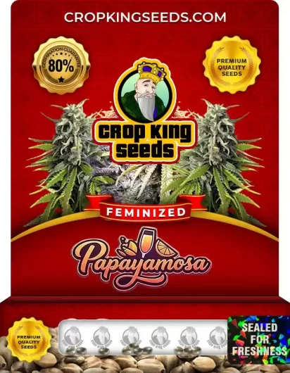 Papayamosa Strain