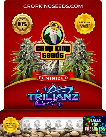 Trillianz Strain