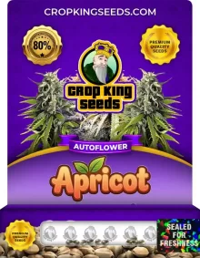 Apricot Autoflower