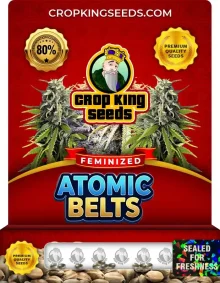 Atomic Belts Strain
