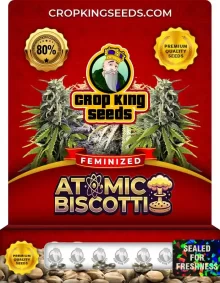 Atomic Biscotti Strain