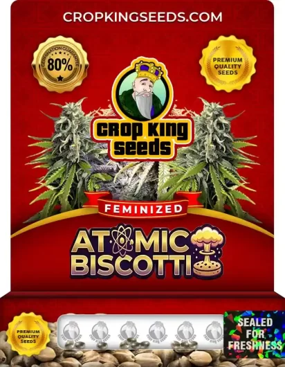 Atomic Biscotti Strain