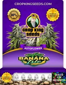 Banana Isle Autoflower