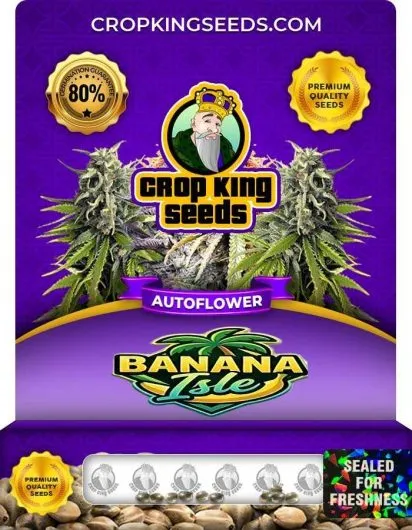 Banana Isle Autoflower