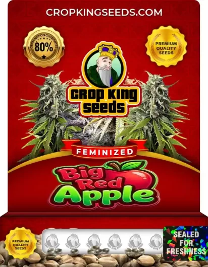 Big Red Apple Strain