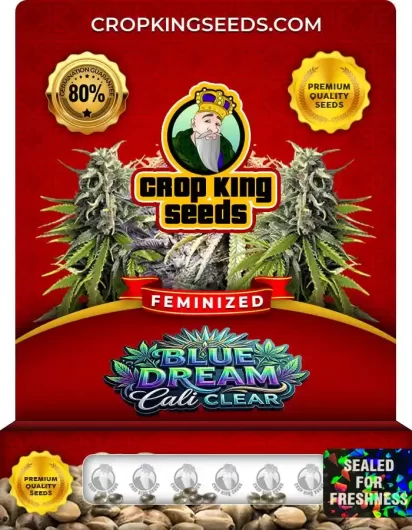Blue Dream Cali Clear Strain