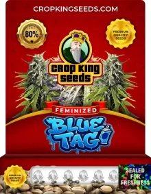 Blue Tag Strain