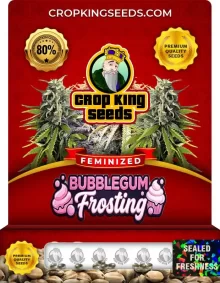 Bubblegum Frosting Strain