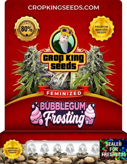 Bubblegum Frosting Strain
