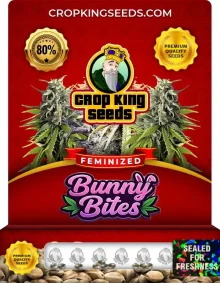Bunny Bites Strain