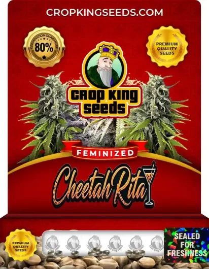 Cheetah Rita Strain