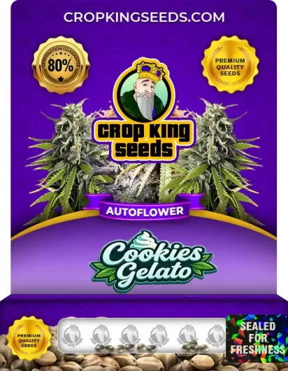 Cookies Gelato Autoflower