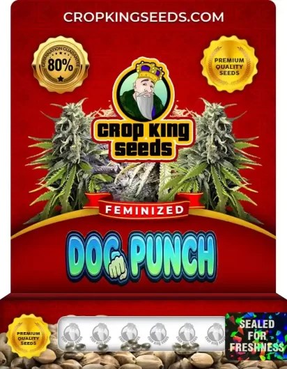 Dog Punch Hybrid Strain