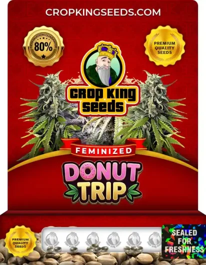 Donut Trip Strain