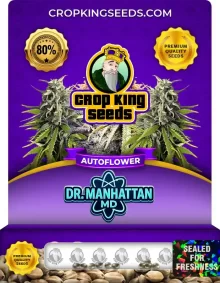 Dr. Manhattan MD Autoflower