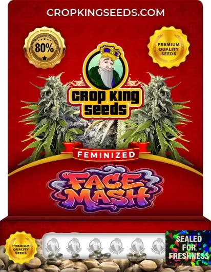 Face Mash Strain