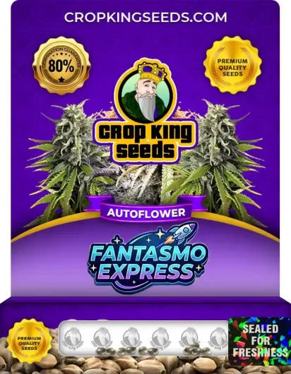 Fantasmo Express Autoflower