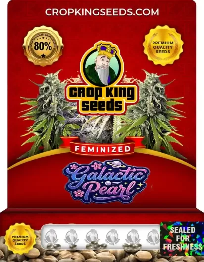 Galactic Pearl Strain