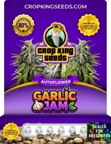 Garlic Jam Autoflower