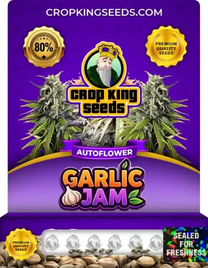 Garlic Jam Autoflower