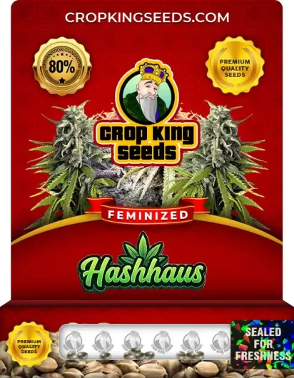 Hashhaus Strain