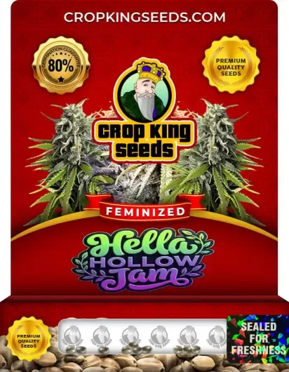 Hella Hollow Jam Strain
