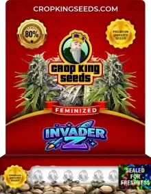 Invader Z Strain Feminized Seeds