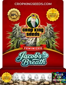 Jacob’s Breath Strain