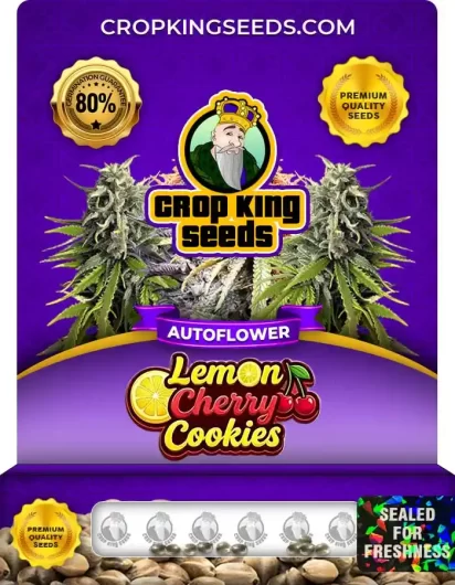 Lemon Cherry Cookies Autoflower