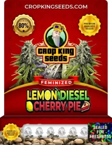 Lemon Diesel Cherry Pie Strain