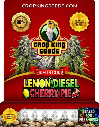 Lemon Diesel Cherry Pie Strain
