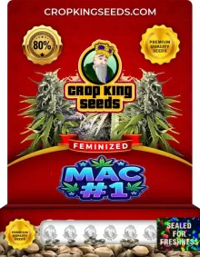 MAC #1 (420 Mac) Strain