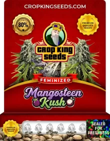 Mangosteen Kush