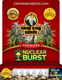 Nuclear Burst Strain
