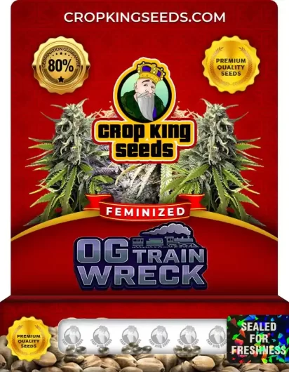 OG Train Wreck Strain
