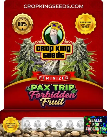 Pax Trip Forbidden Fruit Strain
