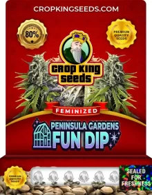 Peninsula Gardens Fun Dip Strain