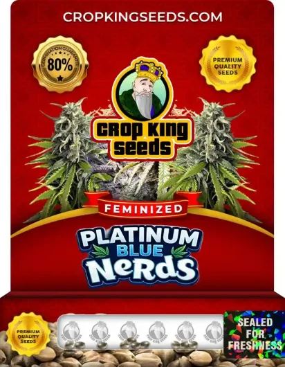 Platinum Blue Nerds Strain