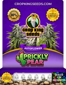 Prickly Pear Autoflower
