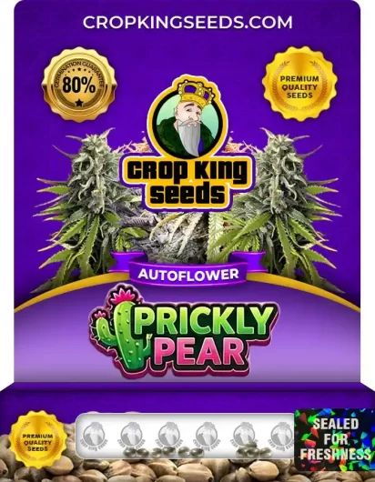 Prickly Pear Autoflower