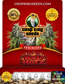 Red Hotz Strain