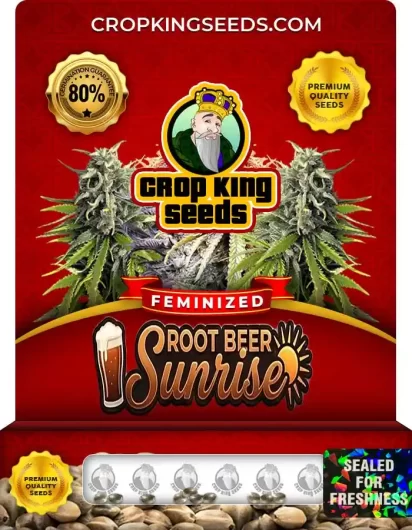 Root Beer Sunrise Strain