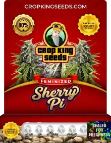 Sherry Pi Strain